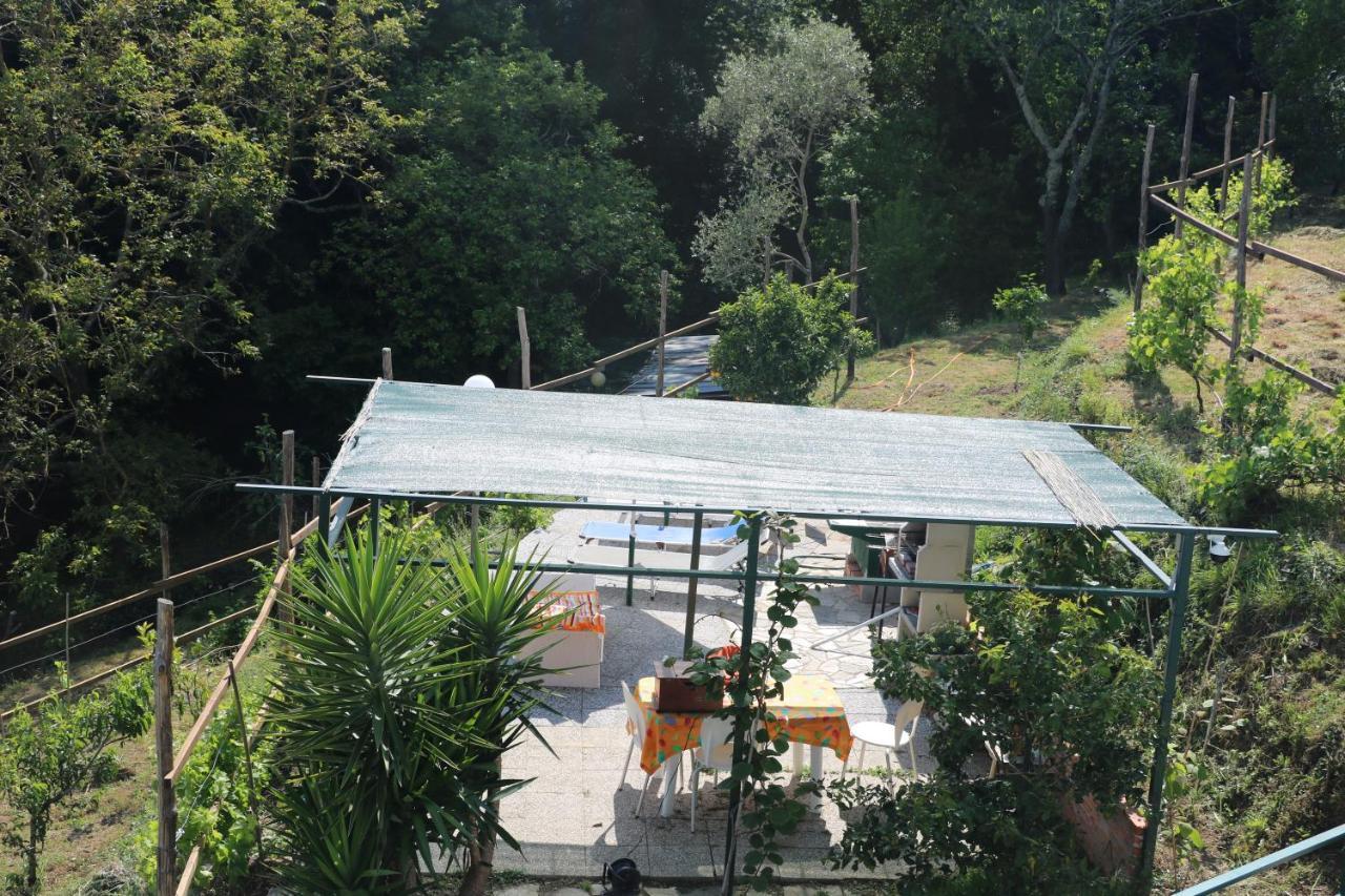 Villa Maremonti - Con 3 Piscine Sestri Levante Exterior foto